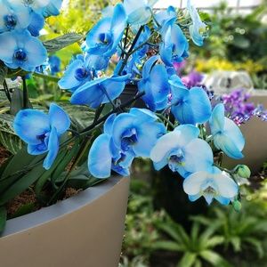 Meet your Posher, Kerry